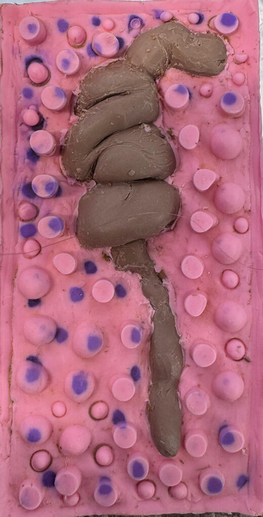 Box mold